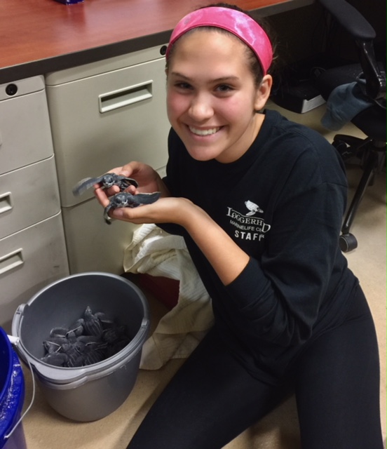 Madison holds up baby sea turtles at Dr. Crays lab at the University of Miami.