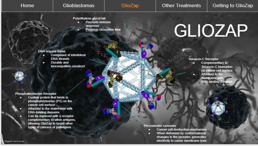 An overview of GlioZap: A Nanoscale Approach to Identifying and Destroying Glioblastomas, created by an EAV Team of Badami, Joukovski, Ibrahim Rahman, and Daniel Kabanovsky. This project won an ExploraVision Honorable Mention as one of the top 10% of projects in 2018-2019.