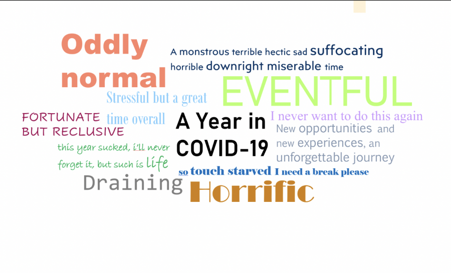 Stanford OHS students reflect on their school year during the COVID-19 pandemic.