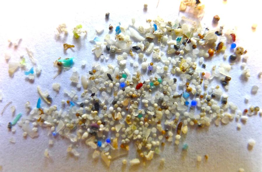 The What, Where, How, and Why of Microplastics