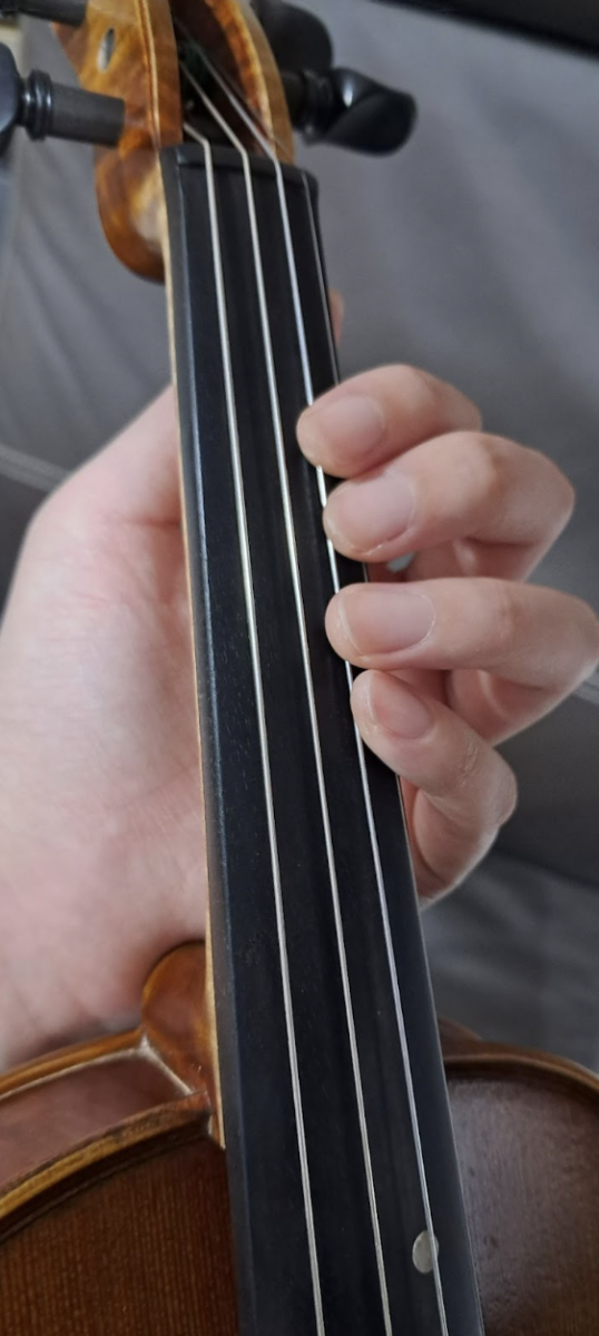 A violinist uses fingers with short-trimmed fingernails to press violin strings.