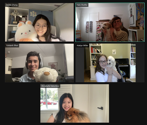 OHS students connect virtually over their shared love of pets. (Source: Addie Zhang, Class of '29)