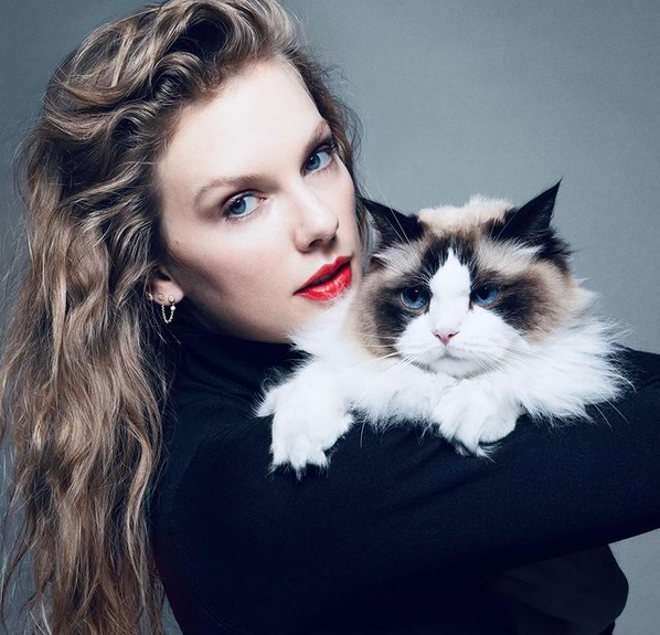 Taylor Swift, 
self-proclaimed “Childless cat lady”, endorsed Vice President Kamala Harris during the 2024 Presidential race. (Instagram) 

