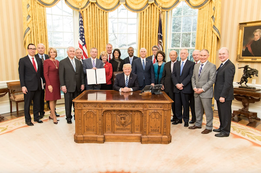 President Donald J. Trump pictured with his 2017 administration Cabinet members (photo from Wikimedia Commons, Office of US President, 2017)