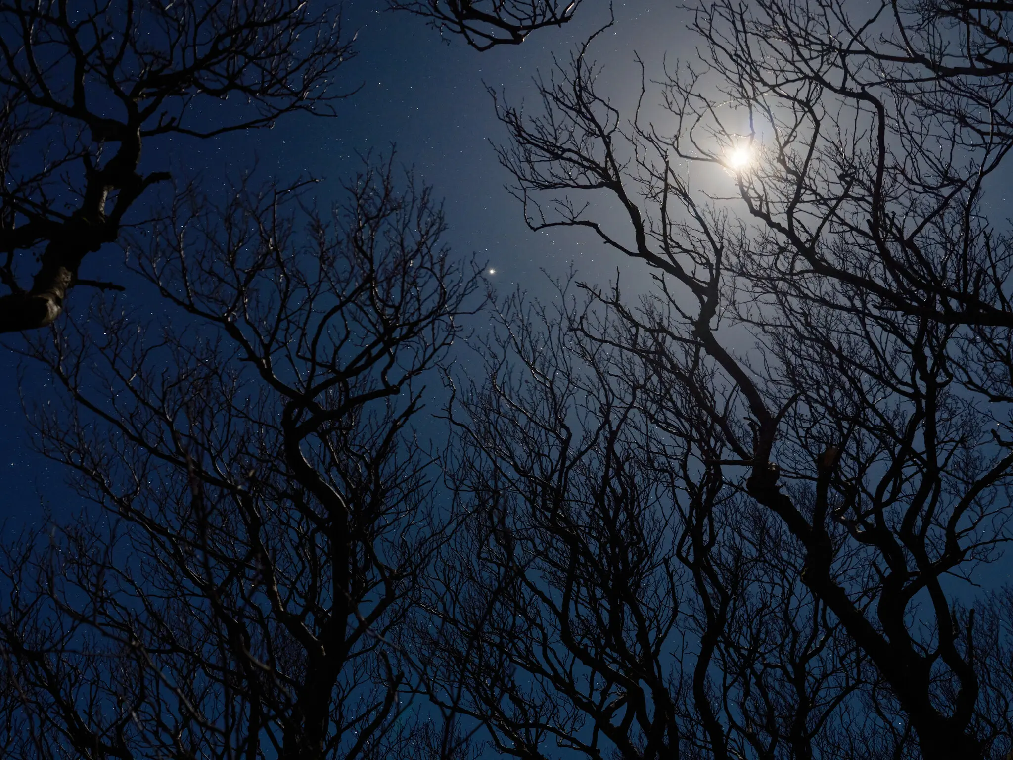 Image from the 2025 article: “Take a Look: A Dark Scottish Isle Where Starlight Reigns Supreme” Credit: Nicholas J. R. White