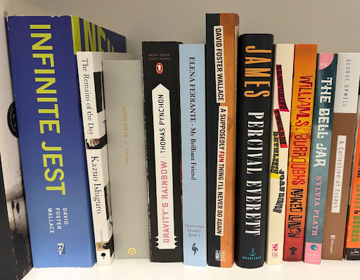 Some of my favorite novels on self-hatred (among them, Ferrante’s My Brilliant Friend, DFW’s Infinite Jest, Plath’s The Bell Jar, Ishiguro’s Remains of the Day) .